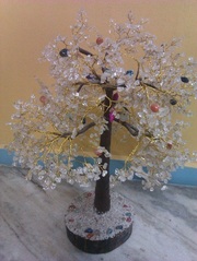 Reiki,  Crystal,  Numerology,  Vaastu Consultant,  fengshui