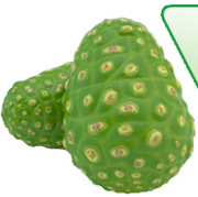 Noni | Apollo Noni Juice Concentrate