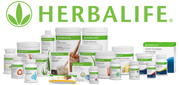 Herbalife weight loss nutrtion in hisar