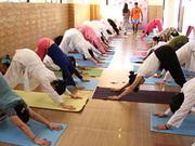 Avatar Yoga School Offers 200 Hours Hatha Yoga Teacher Training