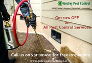 Got Pest Problem..?  Get all Quality Pest Control Services at 10% off 