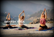 Vinyasa Yoga Teacher Training Course in Rishikesh India