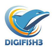 Dental Fillings May Cause Health Issues - Freedom Age - Health service