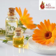 Calendula  Oil Suppliers