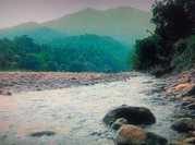 Re-Vitalized water externally energized and herbalized available.