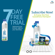 Best Organic Cow Milk in Bangalore|Kiarofoods