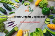 Buy Organic Vegetables in Pune