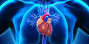 Cardiologist | Top10 Neurologists in Chennai | Neurologist in Chennai