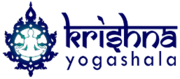 Best 300 hours Hatha Yoga teacher training course in Hyderabad India