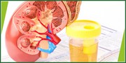 Healthy Sunday Offers - Dr. B. Lal Clinical Laboratory
