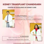 Best Kidney biopsy treatment Chandigarh