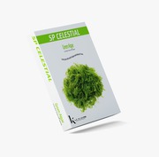 SP CELESTIAL GREEN ALGAE PEEL OFF MASK