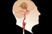 Why brain and spine surgery hospital in delhi important ! TheBrainands