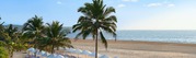 Looking for PCD Pharma Franchise in Goa? - V Care Biotech