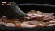 Experience the Healing Benefits of Himalayan Rock Salt