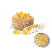 bulk raisins thompson powder supplier | bulk raisins thompson supplier