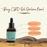 Unlock Your Wellness: Buy CBD Oil Online Now!