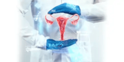 Top Obstetrician and Gynaecologist in Chengalpattu 