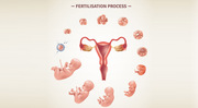 Best Doctor For Infertility In Bangalore - Best Fertility Specialist I