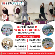 Yoga Teacher Training Program in Rishikesh for 200 Hours: Set Out on a