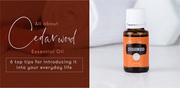 What Are Some Benefits Of Cedar Wood Essential Oil?