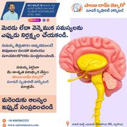 Doctor Neurologist Specialist | Sai Ram Neuro