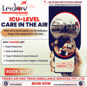No Disturbance of Patient - Tridev Air Ambulance Service in Delhi